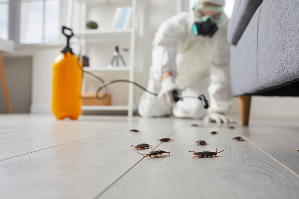 Post-Treatment Bed Bug Interceptor Monitoring in Winfield