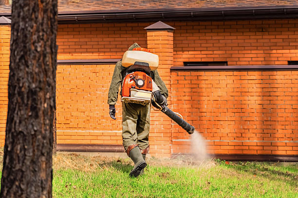 Bed Bug Clearance Verification and Documentation in Winfield